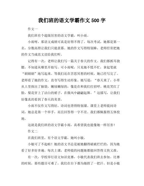 我们班的语文学霸作文500字