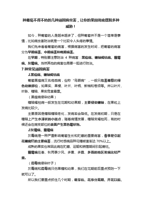 种葡萄不得不防的几种顽固病虫害，让你的果园彻底摆脱多种威胁！