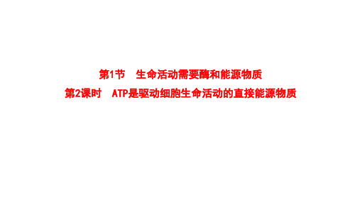 新教材苏教版生物必修1课件3-1-2ATP是驱动细胞生命活动的直接能源物质