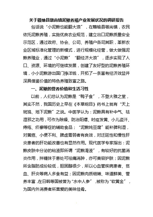 关于赣榆县墩尚镇泥鳅养殖产业发展情况的调研报告-