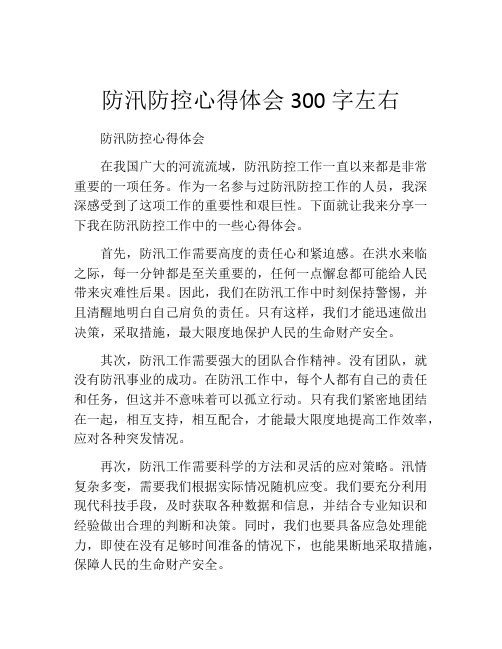 防汛防控心得体会300字左右