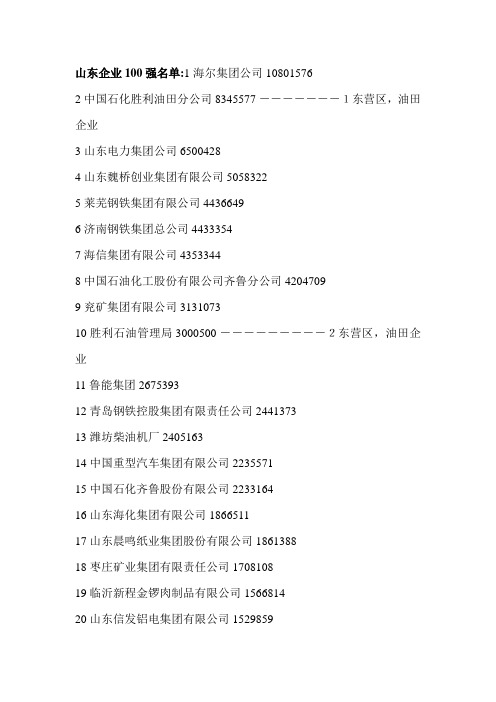 2011年山东企业100强名单