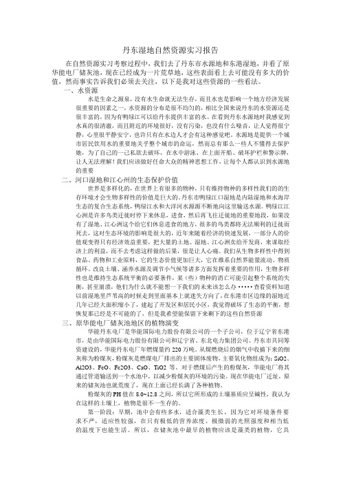 自然资源学作业——丹东湿地自然资源实习报告