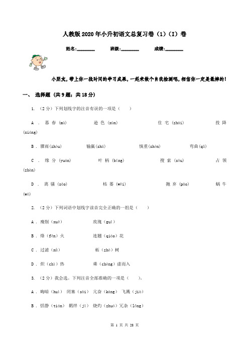 人教版2020年小升初语文总复习卷(1)(I)卷
