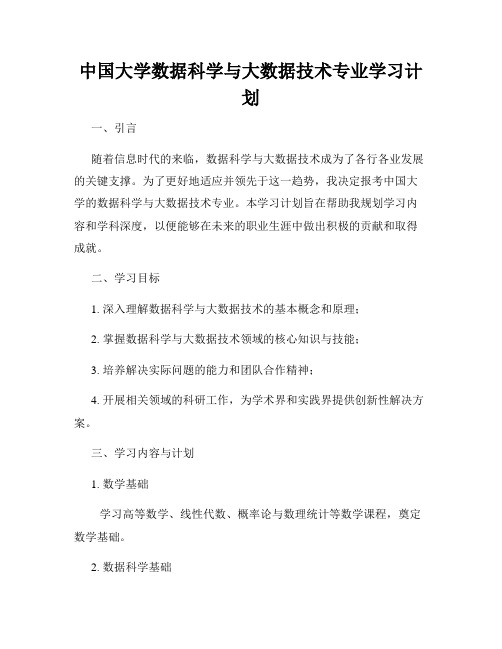 中国大学数据科学与大数据技术专业学习计划