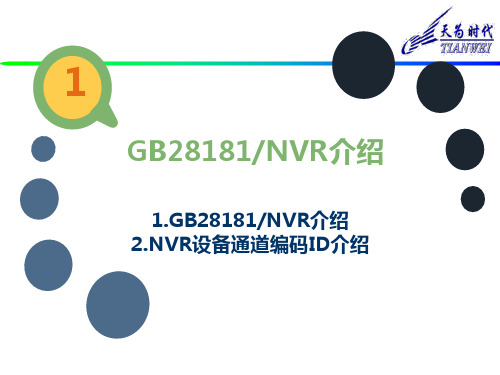 GB T28181规范调研报告