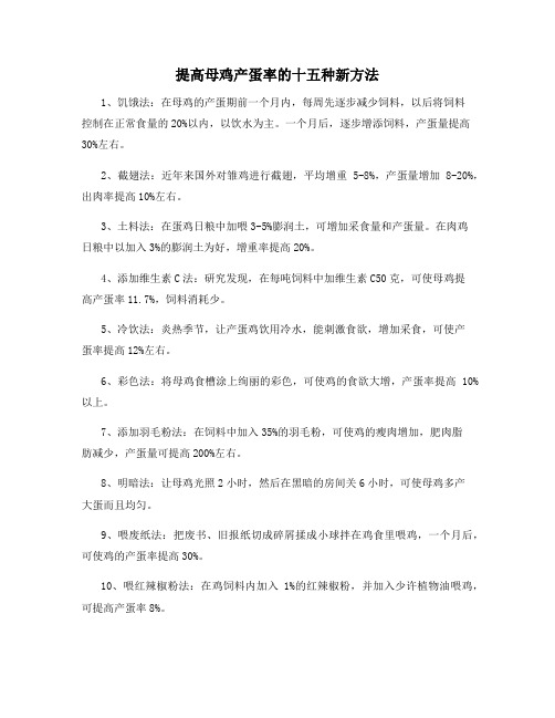 提高母鸡产蛋率的十五种新方法