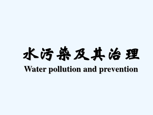 水污染及其治理 PPT