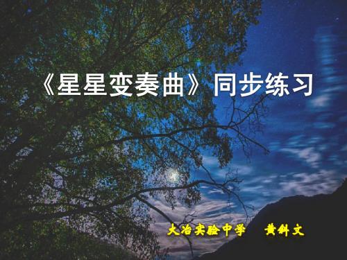 人教版九年级上语文星星变奏曲同步练习课件