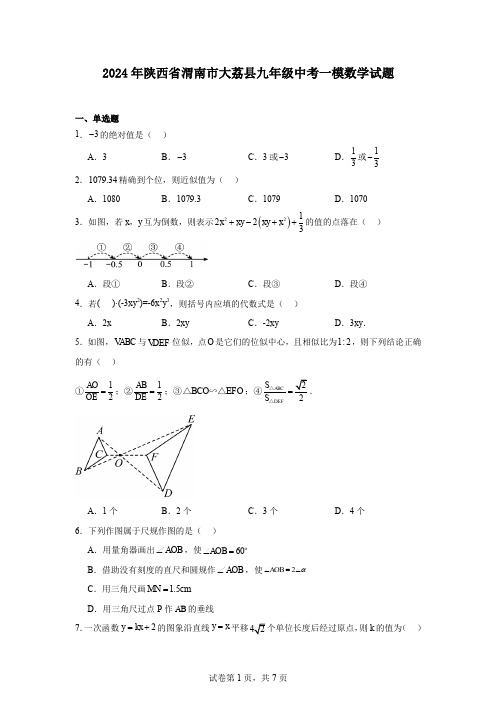 2024年陕西省渭南市大荔县九年级中考一模数学试题