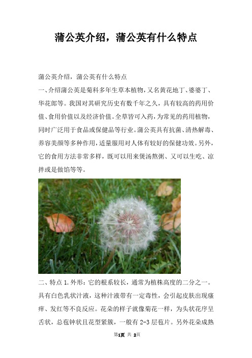 蒲公英介绍，蒲公英有什么特点