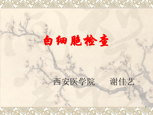 试讲内容白细胞检查