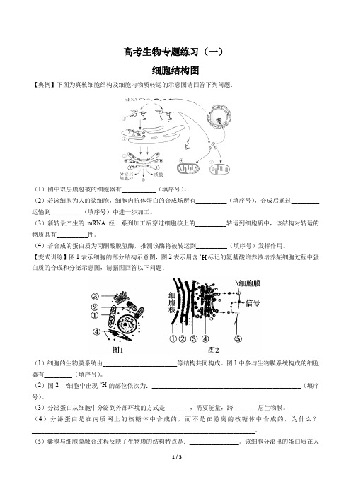 高考生物-细胞结构图-专题练习(一)有答案