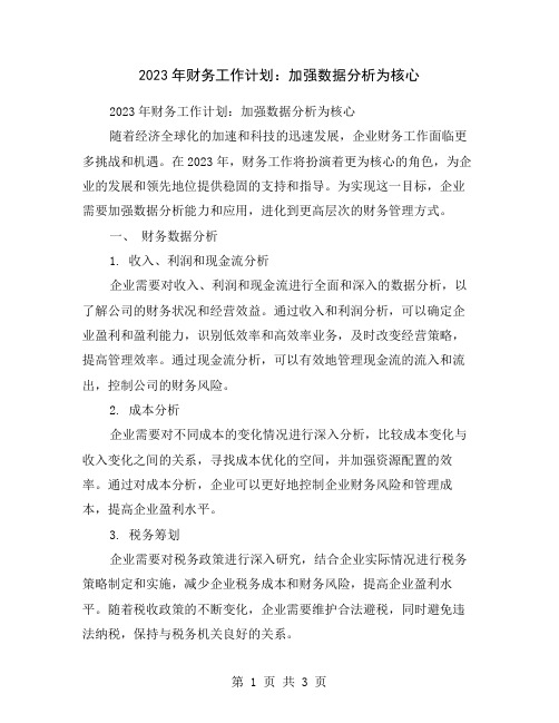 2023年财务工作计划：加强数据分析为核心