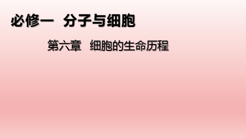 【课件】细胞的增殖  课件 2022—2023学年高一上学期生物人教版必修1