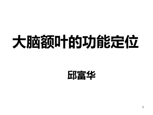 大脑额叶的功能定位ppt课件