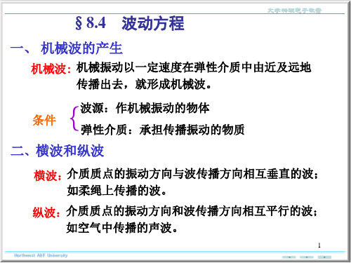 大学物理波动方程