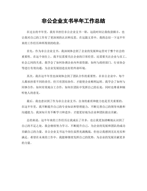 非公企业支书半年工作总结