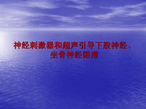 超声引导下股神经和坐骨神经支配PPT课件