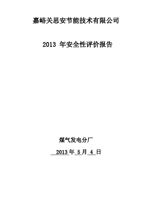 《安全性评价报告》Word版