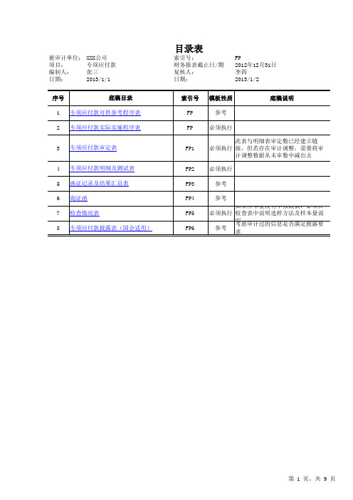 FP  专项应付款审计底稿