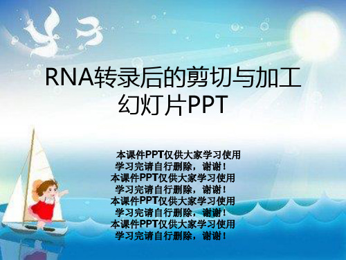 RNA转录后的剪切与加工幻灯片PPT