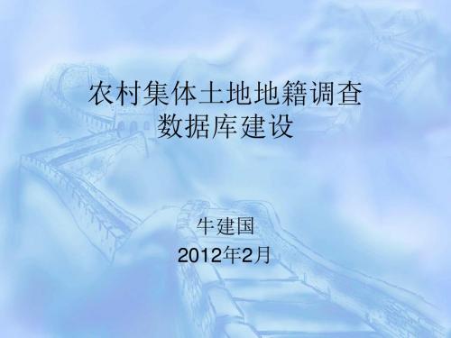 农村集体土地地籍调查数据库建设