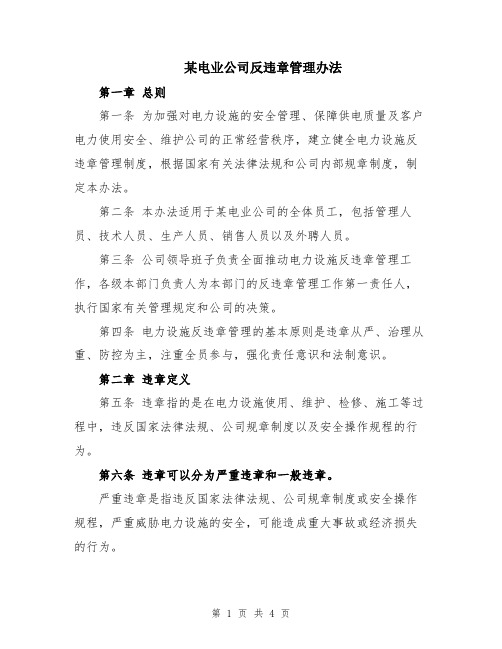 某电业公司反违章管理办法