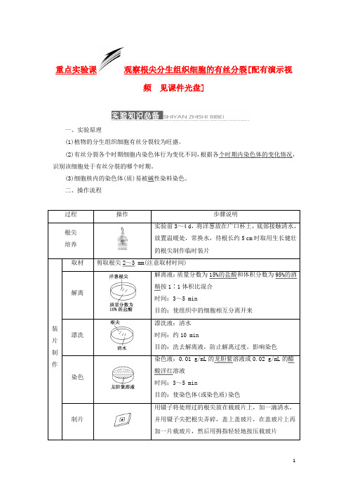 高三生物一轮复习 重点实验课 观察根尖分生组织细胞的有丝分裂 新人教版