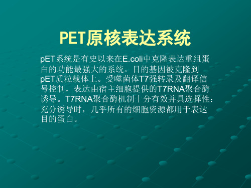 pet系统原核表达详细总结精品PPT课件