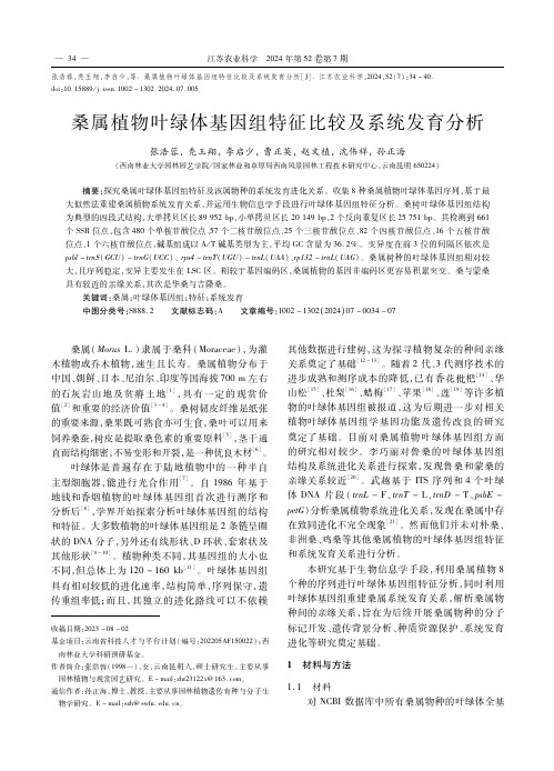 桑属植物叶绿体基因组特征比较及系统发育分析