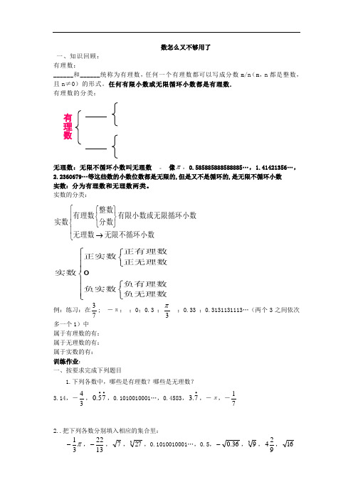 新北师大版数学八年级上册《数怎么又不够用了》导学案设计