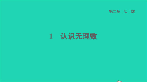 2022秋八年级数学上册 第二章 实数1 认识无理数课件(新版)北师大版