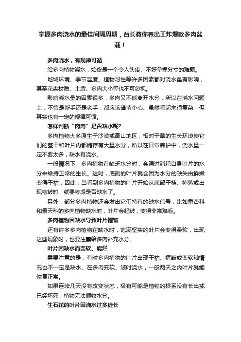 掌握多肉浇水的最佳间隔周期，台长教你养出王炸爆款多肉盆栽！