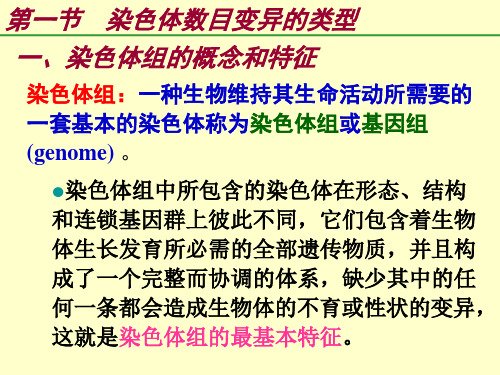 普通遗传学第七章染色体数目变异课件