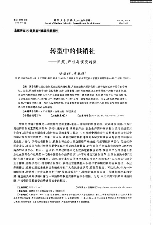 转型中的供销社——问题、产权与演变趋势