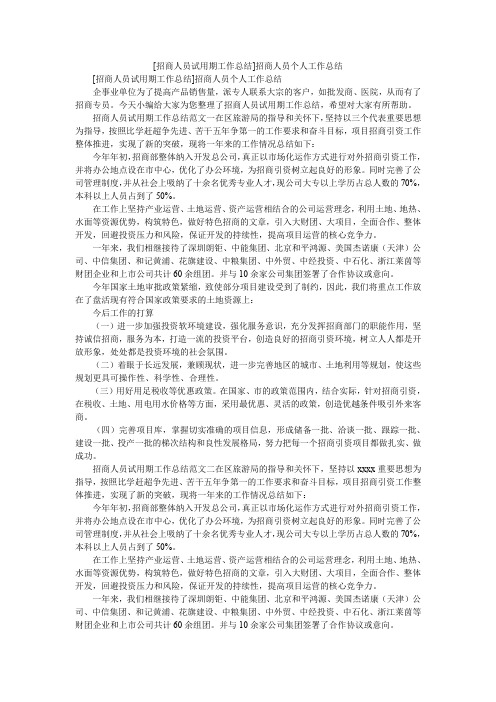 2019[招商人员试用期工作总结]招商人员个人工作总结