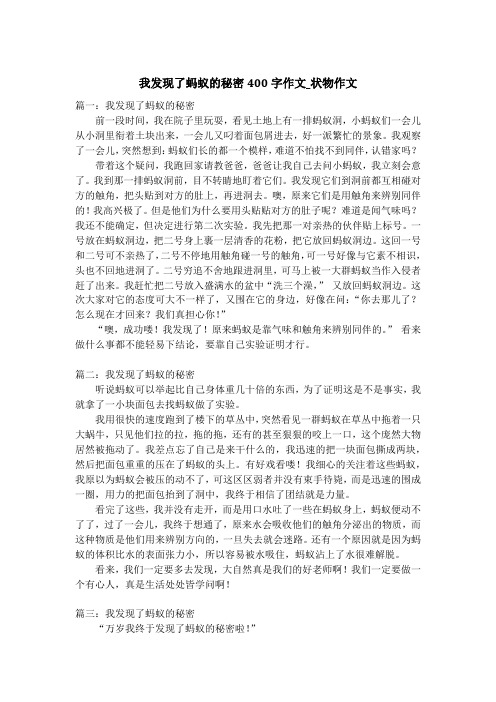 我发现了蚂蚁的秘密400字作文_状物作文