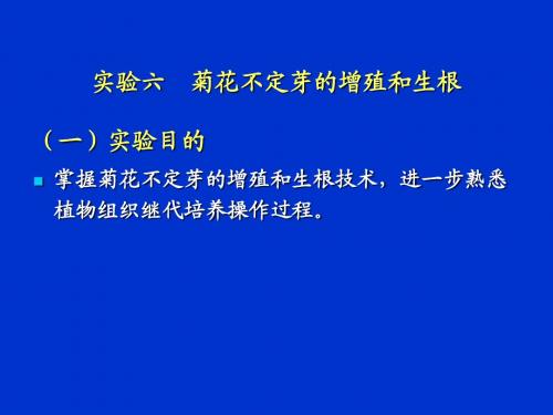 植物组织培养实验(6)