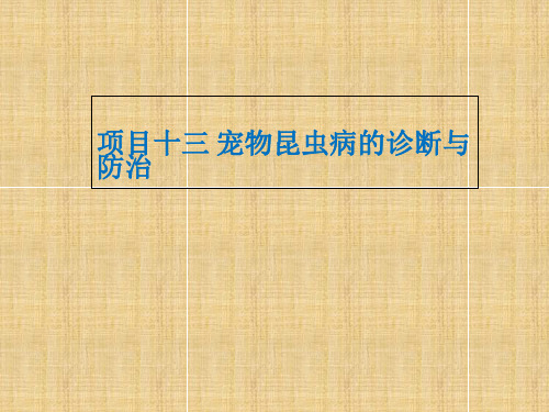 宠物疾病与防治技术 项目十三 宠物昆虫病的诊断与防治