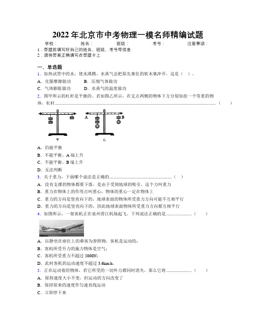 2022年北京市中考物理一模名师精编试题附解析