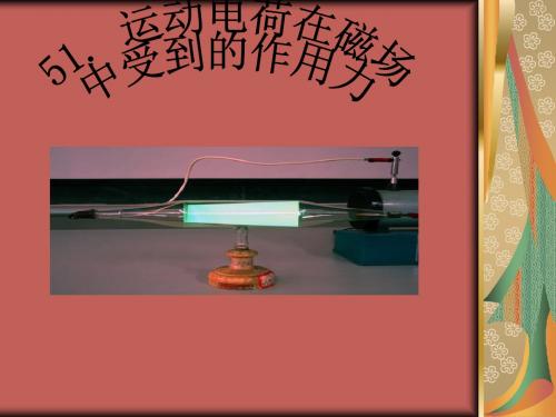 高三复习磁场对运动电荷的作用