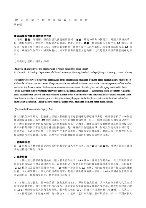 腰大肌损伤性腰腿痛解剖学关系