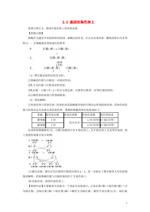 高中生物 2.2 基因在染色体上重难点突破素材2 新人教必修2