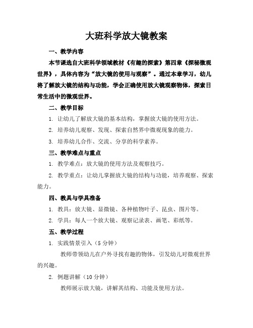 大班科学放大镜教案