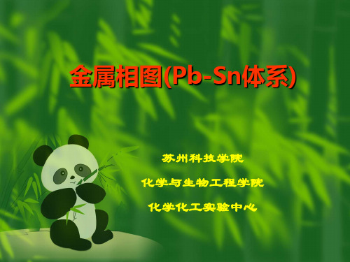 金属相图Pb-Sn体系