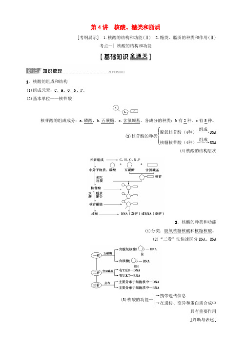 2020版高考生物一轮复习第1单元第4讲核酸糖类和脂质教学案新人教版