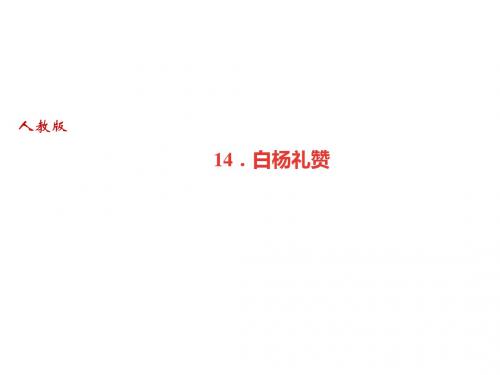 2018秋人教部编版(广东)八年级语文上册课件：14.白杨礼赞(共28张PPT)