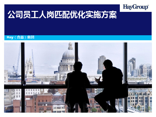 hay-宇龙公司员工人岗匹配优化实施方案