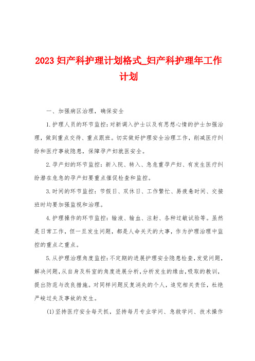 2023妇产科护理计划格式